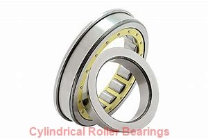 3.15 Inch | 80 Millimeter x 6.693 Inch | 170 Millimeter x 2.283 Inch | 58 Millimeter  SKF NJ 2316 ECML/C4  Cylindrical Roller Bearings
